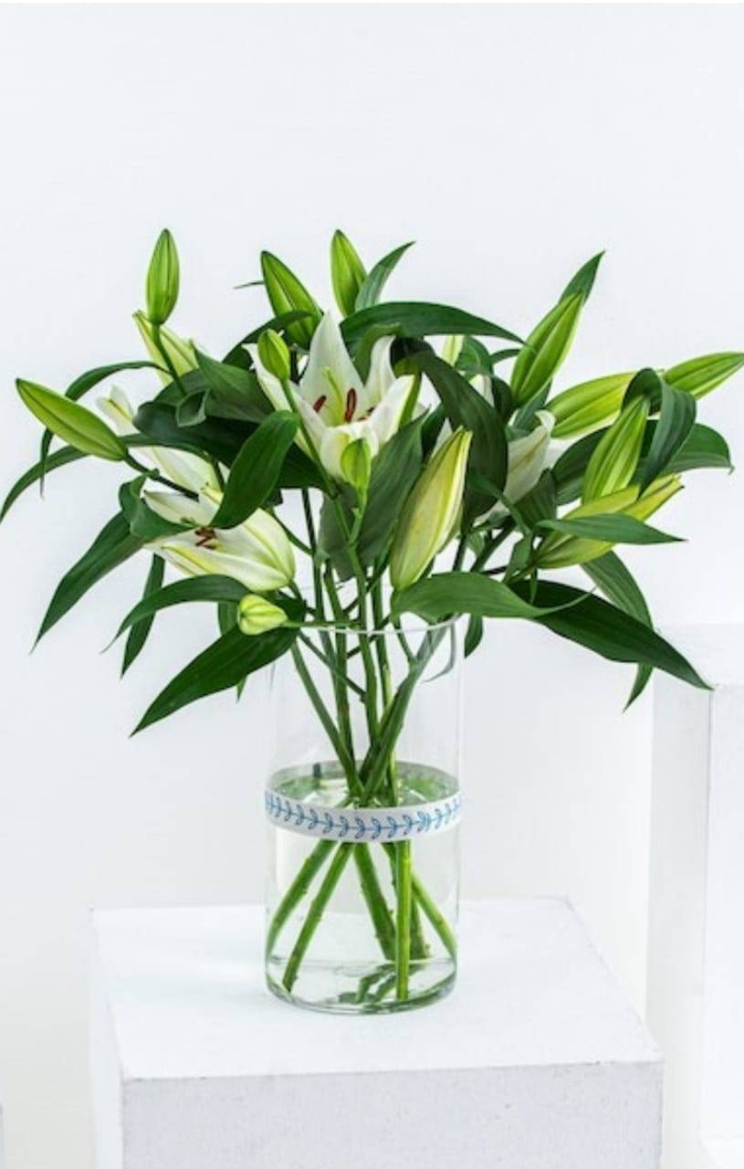 product_small_img2